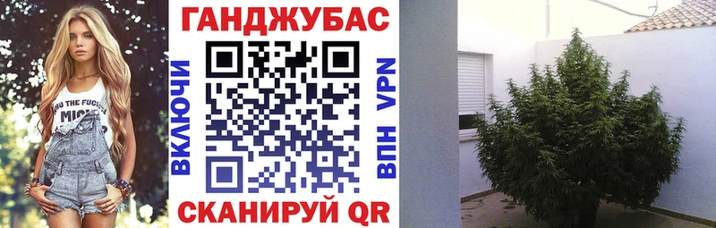 цены   Липецк  Канабис SATIVA & INDICA 