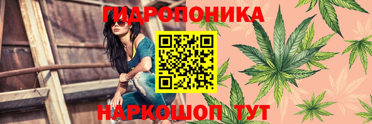 Бошки Шишки сатива  Бошки марихуана Bruce Banner  Вход с VPN  МАРИХУАНА семена  Бошки марихуана план  Липецк 